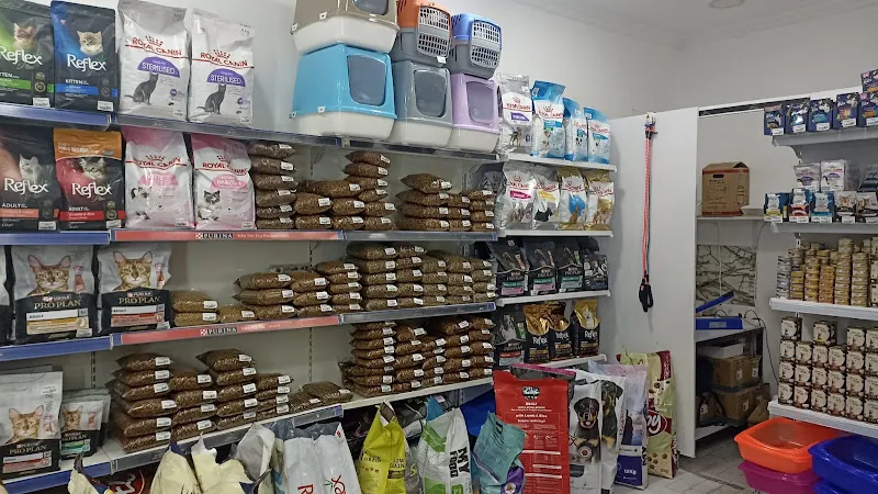 cookie petshop foto 2