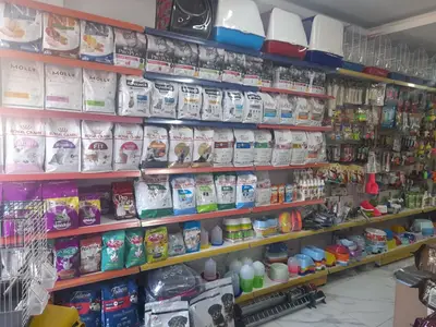 EFE PETSHOP 2