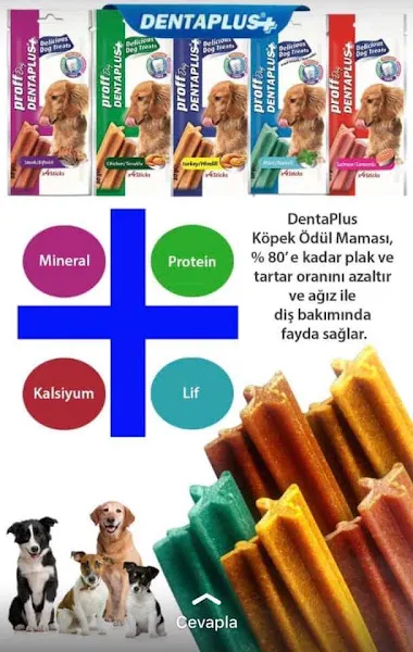 LORA YEM foto 1