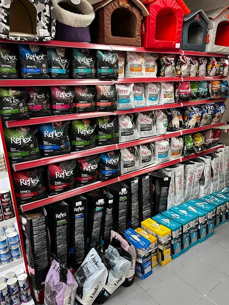 Koko Petshop foto 2