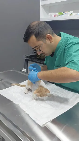 Kuzey Veteriner Kliniği foto 2