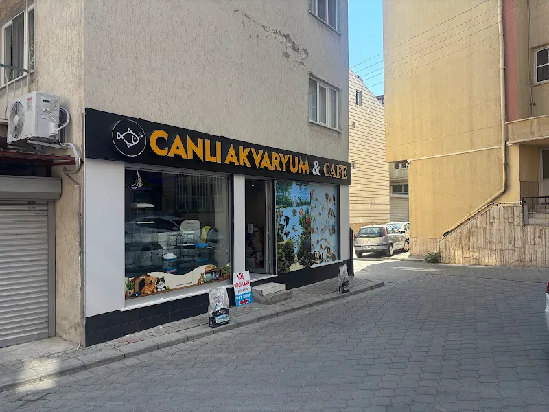 CANLI AKVARYUM & CAFE foto 2