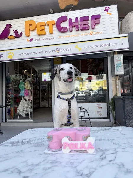 Petchef İzmir foto 2