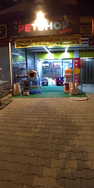PETSHOP AZELYA foto 1