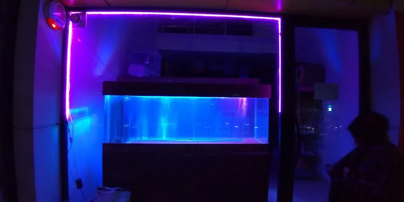 PETSHOP AZELYA foto 2