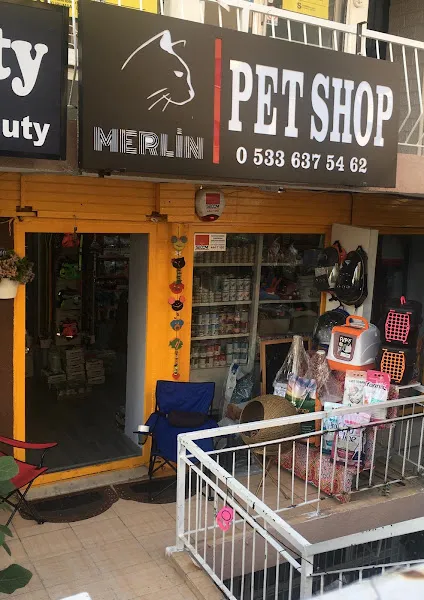 Merlin Petshop 2 foto 1