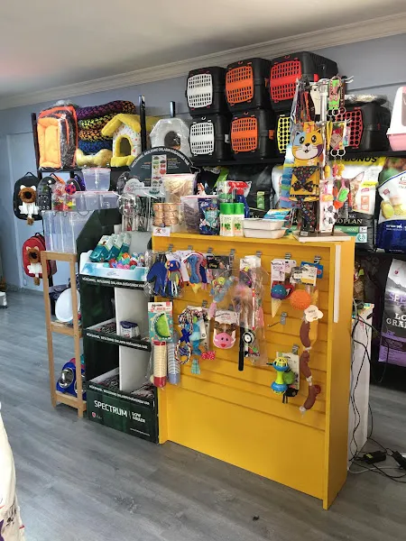 Merlin Petshop 2 foto 2