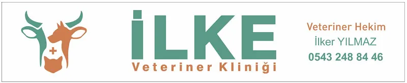 İlke Veteriner Kliniği foto 1