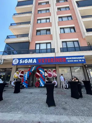 Sigma Veteriner Muayenehanesi