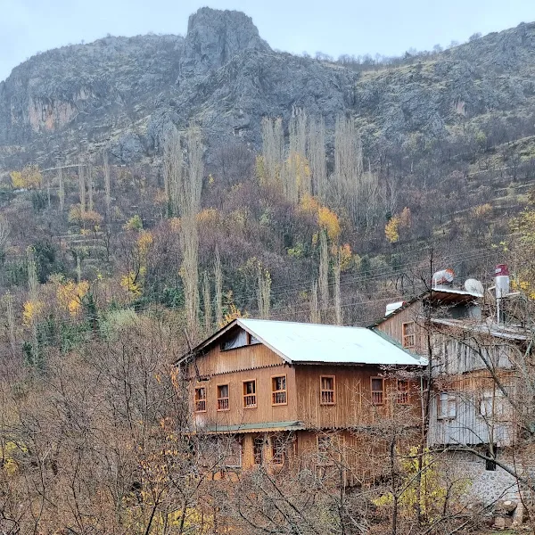 Yalçıner çiftliği TATUTA foto 1