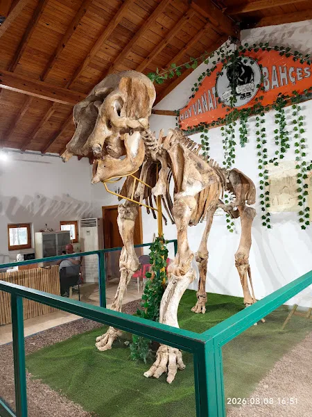 Doğal Yaşam Parkı Veterinerliği foto 2