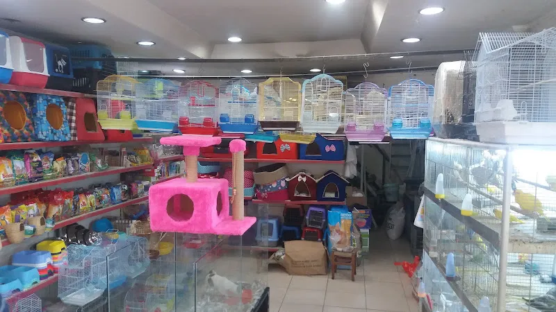 Kardeşler Petshop & Akvaryum foto 2
