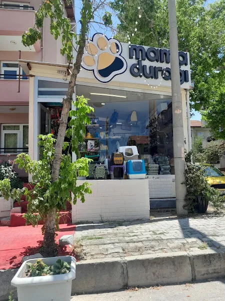 mamadurağı modernevler foto 1