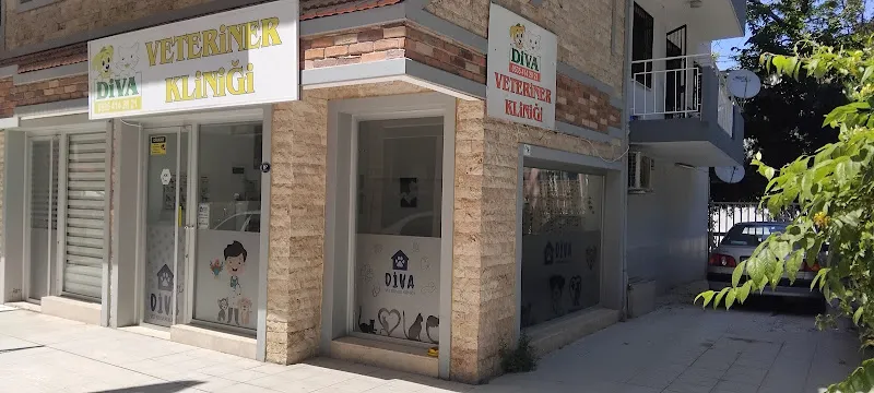 Foça cat & dog veteriner kliniği foto 2
