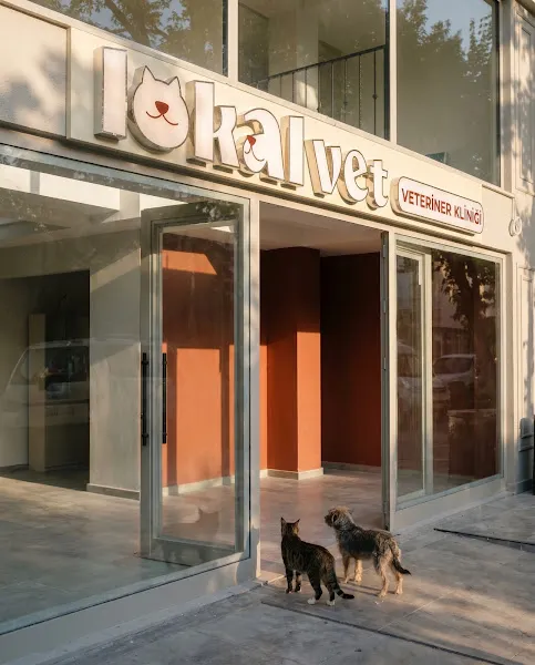 Lokalvet Veteriner Kliniği foto 1