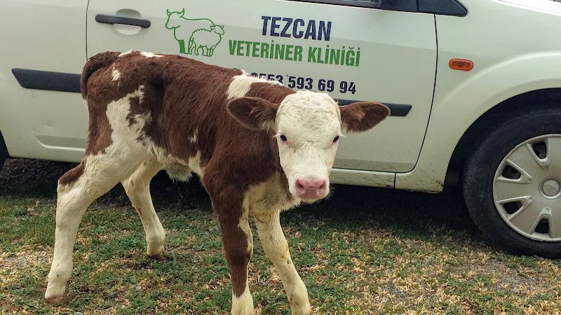 Veteriner Tezcan foto 1