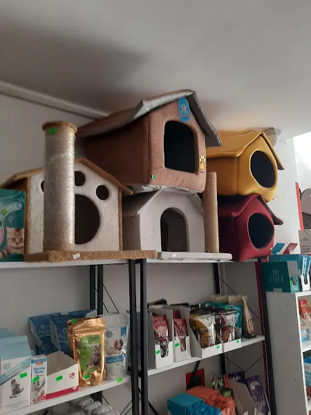 Sevimli ikizler petshop foto 2