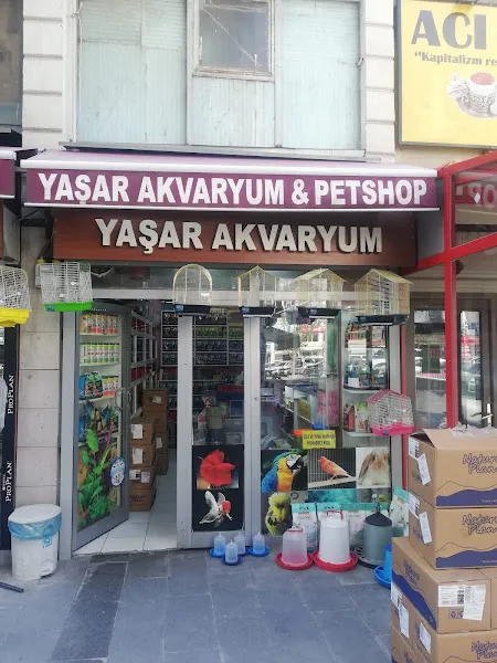 Yunus Akvaryum foto 1