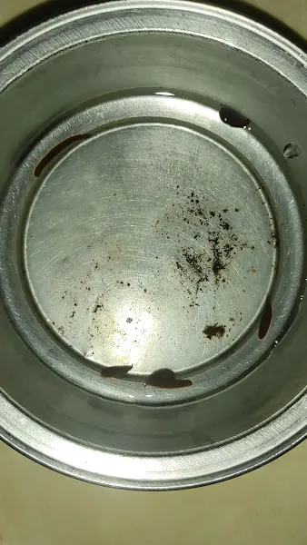 Sülük tedavi muhabbet kuş uretim foto 2