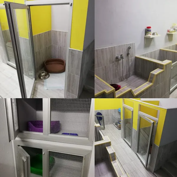SEVİMLİ PATİLER VETERİNER KLİNİĞİ foto 2