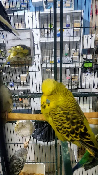 Tekin petshop foto 1