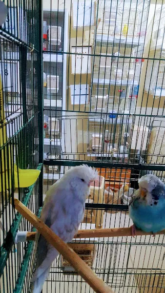 Tekin petshop foto 2