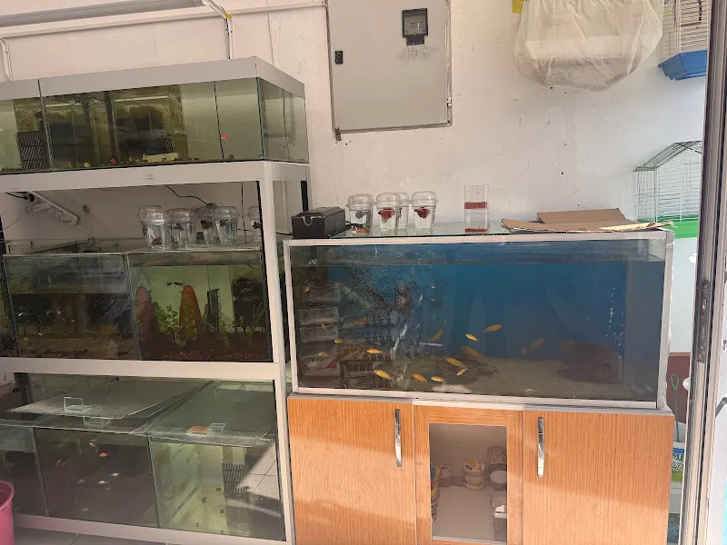 Can Tekin PetShop foto 2