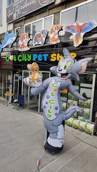 CAT CİTY PETSHOP foto 1