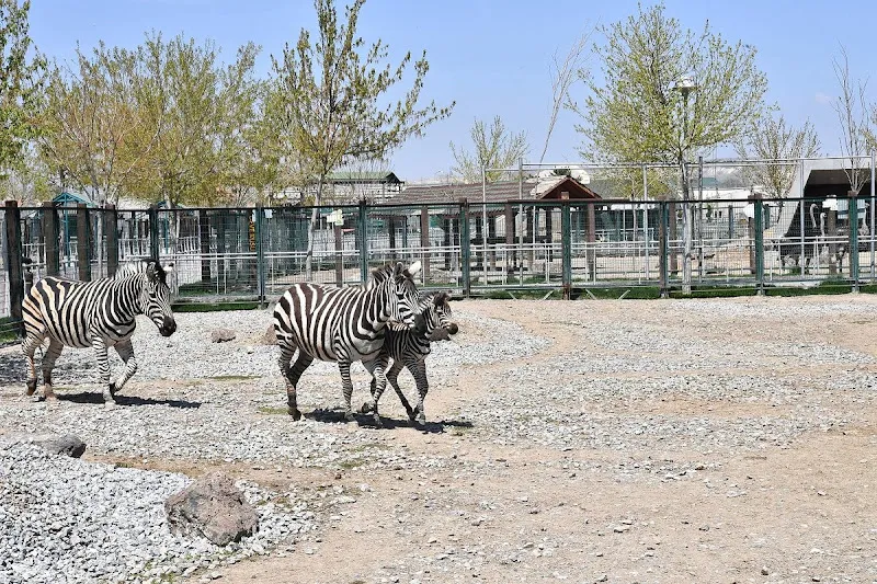 Kayseri Hayvanat Bahçesi foto 1