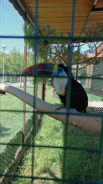 Kayseri Hayvanat Bahçesi foto 2