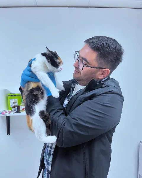 Karaalp Veteriner Kliniği foto 2