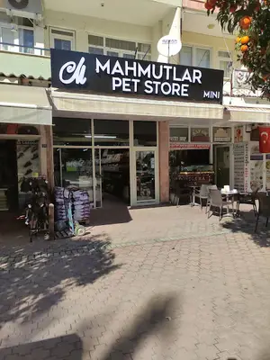 Mahmutlar pet store mini