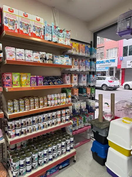 Petshop foto 2
