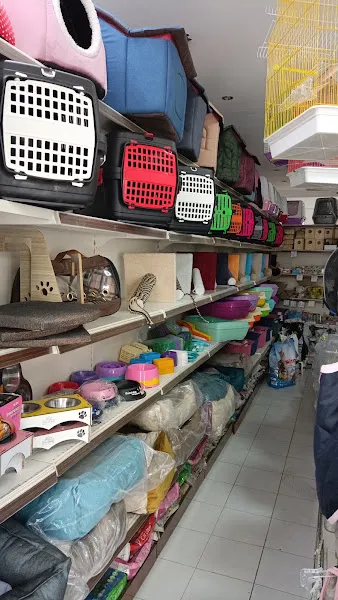 Can dost Petshop foto 2