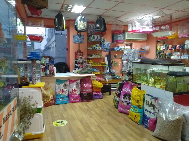 cici petshop renkmar online foto 2