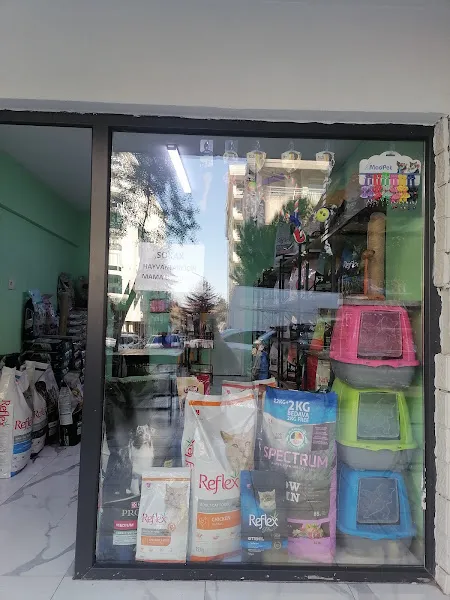 Sütlaç petşhop foto 2