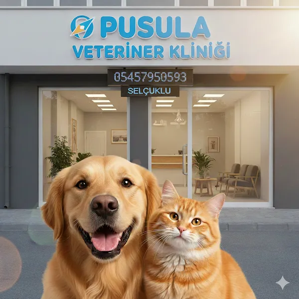 Pusula Veteriner Kliniği foto 1