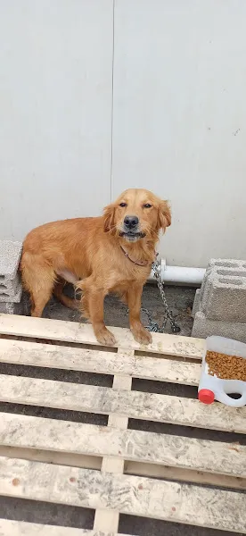 Pusula Veteriner Kliniği foto 2