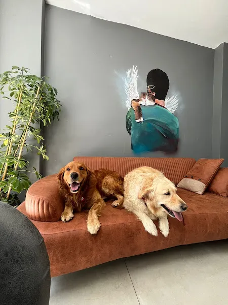 PlusVet Veteriner Kliniği foto 2