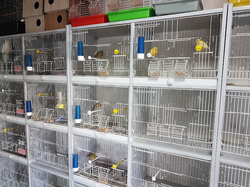 Sakican Akvaryum Pet shop foto 2