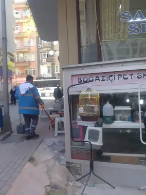 Kafes Hayvanları