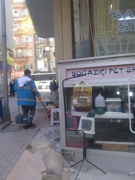 Kafes Hayvanları foto 1