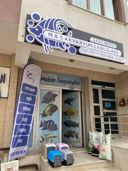 M&S Akvaryum Canlıları Üretim Ve Tedarik Tesisi - MONLİNE foto 1