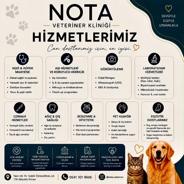 Nota Veteriner Kliniği foto 2