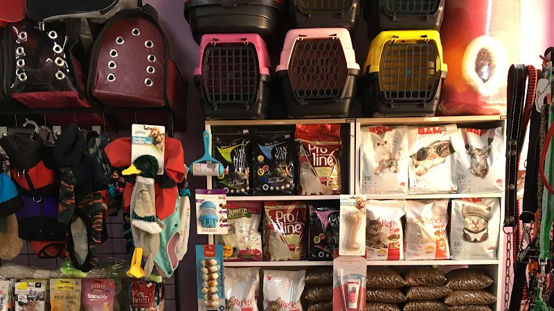 Mina petshop foto 2