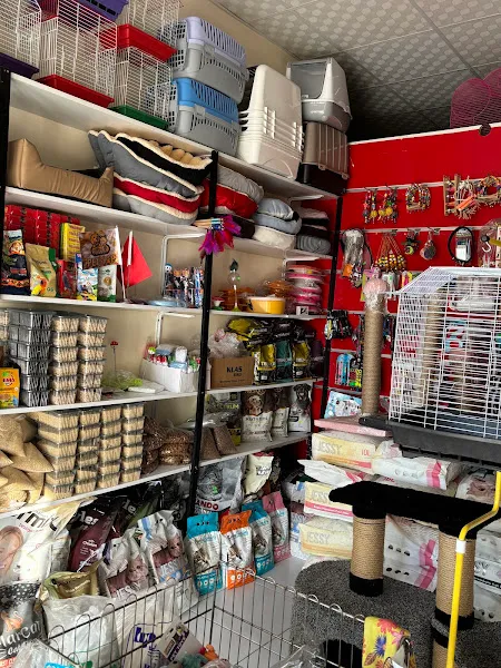 Tüylü pet shop foto 2
