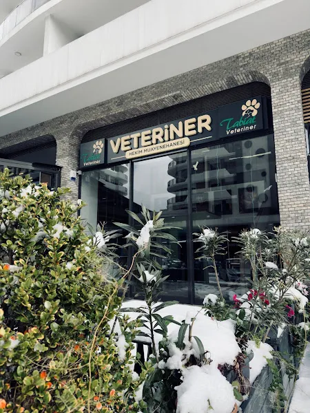 Tabiat Veteriner Hekim Muayenehanesi - 7/24 Nöbetçi Veteriner - Beylikdüzü Acil Veteriner foto 2