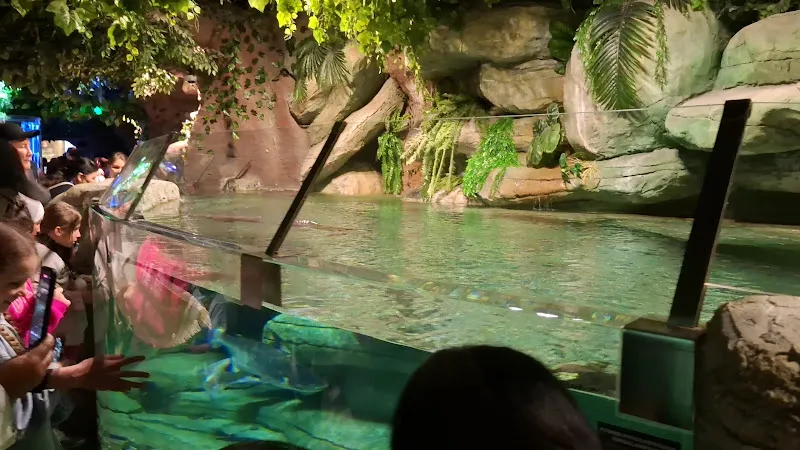 Magic aquarium foto 2