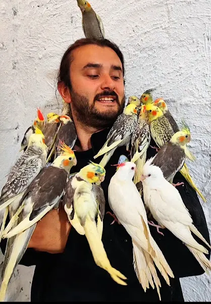 SULTAN PAPAĞANI DÜNYASI PETS foto 1