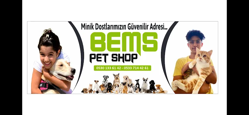 Bems petshop foto 2